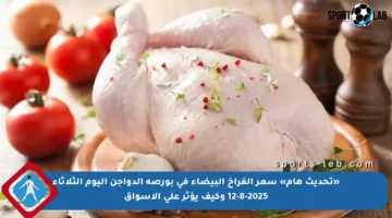 «تحديث هام» سعر الفراخ البيضاء في بورصة الدواجن اليوم الثلاثاء 12-8-2025 وكيف يؤثر على الأسواق